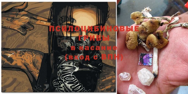 Альфа ПВП Баксан