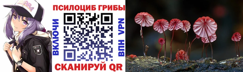 Галлюциногенные грибы Cubensis  кракен как войти  Кировск 