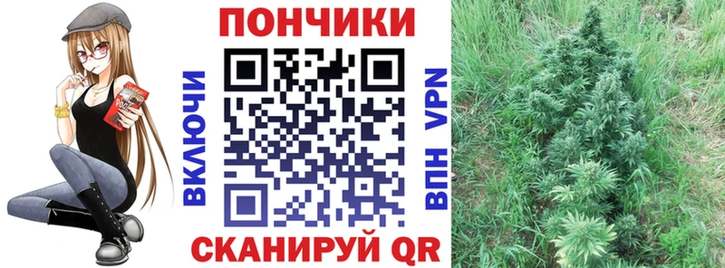 купить закладку  Кировск  МАРИХУАНА OG Kush 
